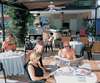 Pine Marina Hotel 